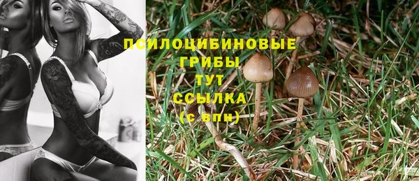 мет Абдулино