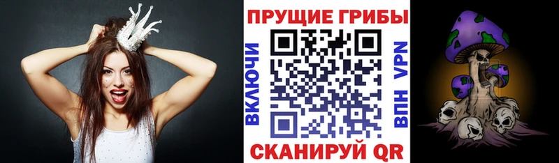 нарко площадка телеграм  Александровск-Сахалинский  Галлюциногенные грибы MAGIC MUSHROOMS  как найти  